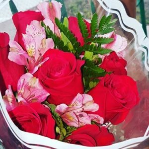 Meet your Posher, Dash